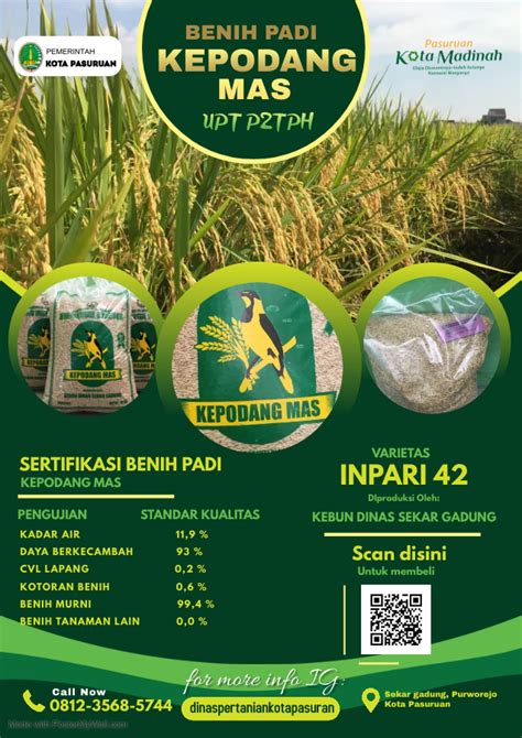 Struktur benih padi  Di Indonesia sendiri, padi merupakan makanan pokok yang begitu penting
